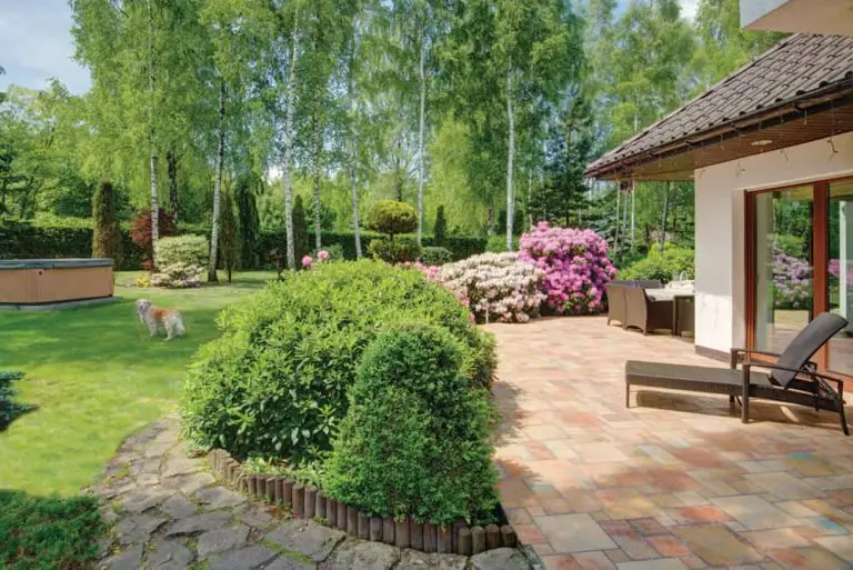 Garden project 6